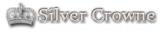 Welcome to Silver Rain Online Store