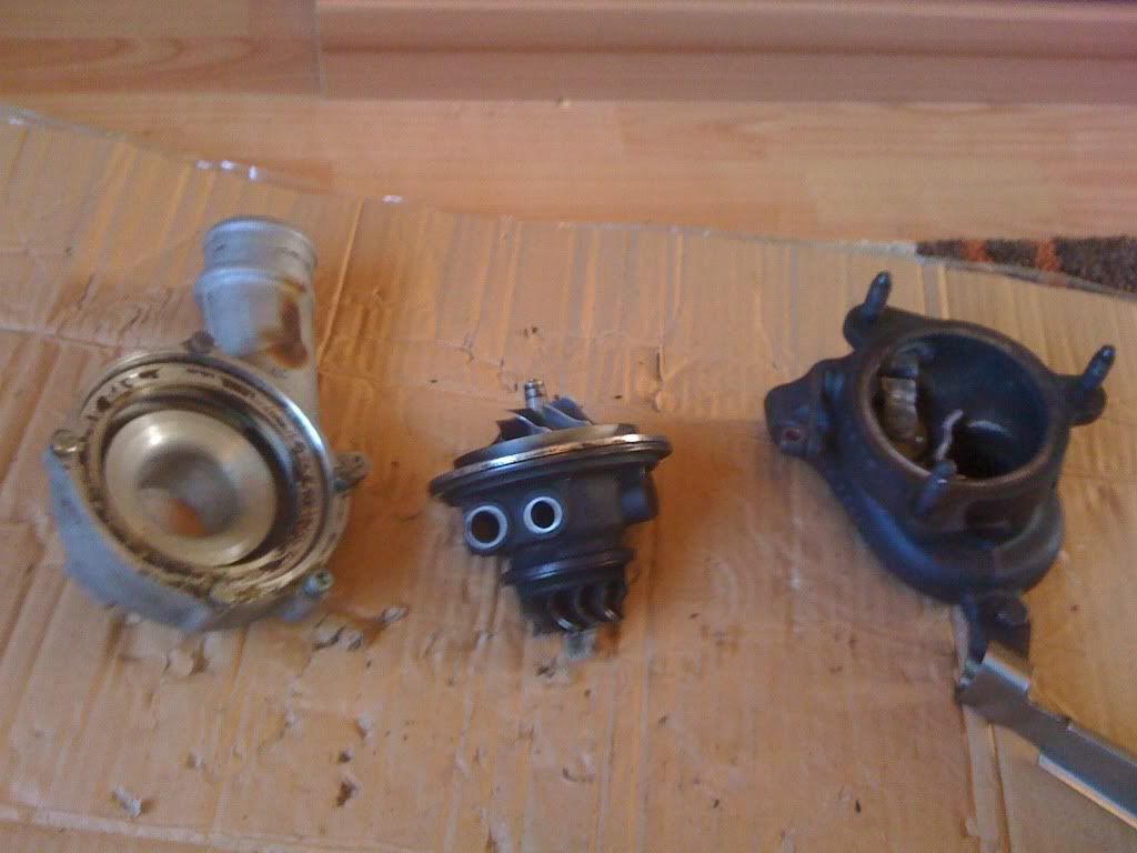 photo7.jpg