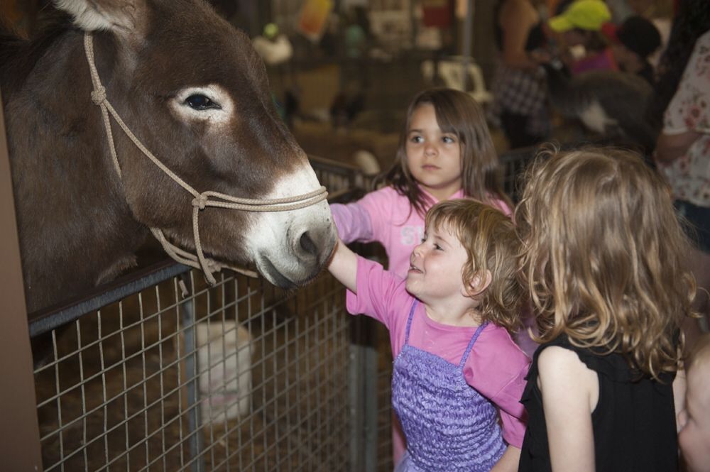 Perth Royal Show