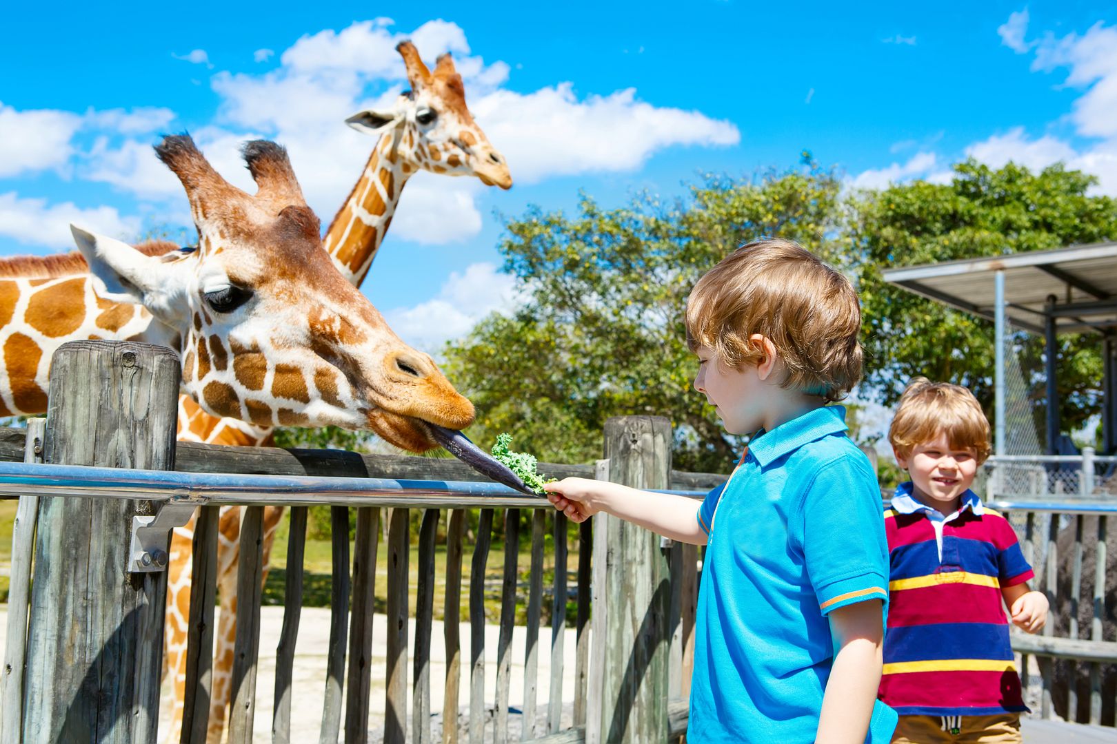 school-holiday-activities-perth-buggybuddys