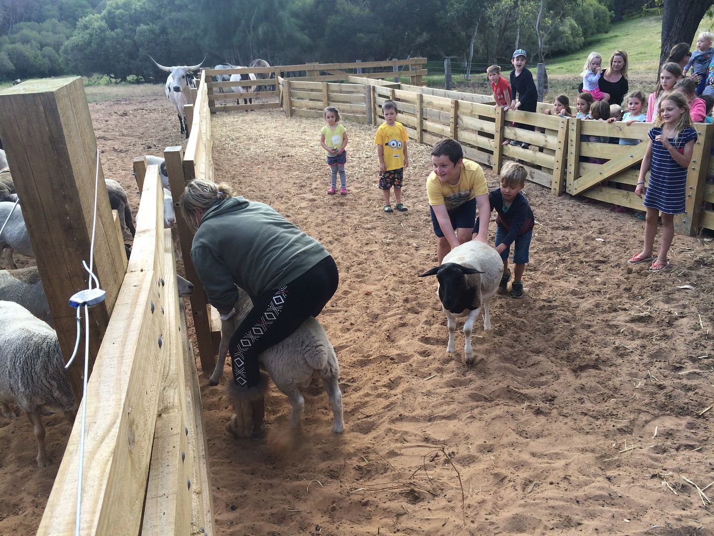 Willowbrook Farm Gingin Blog Reviews Buggybuddys