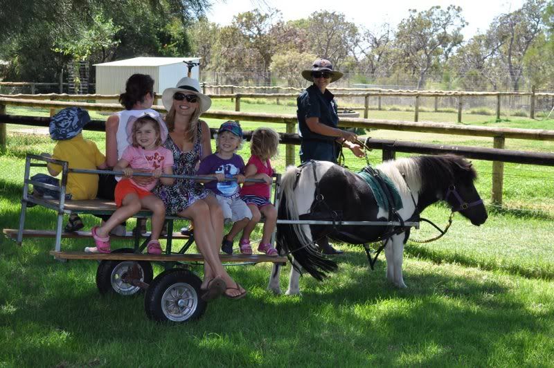 farm stay