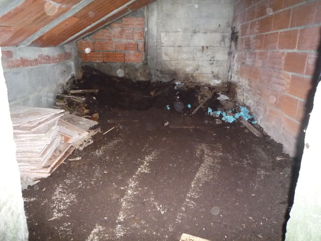 Reformando el garaje. - ForoCoches