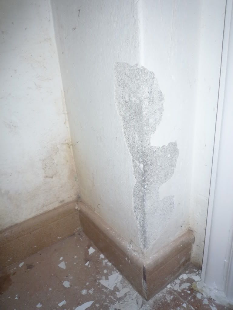 Reformando el garaje. - ForoCoches