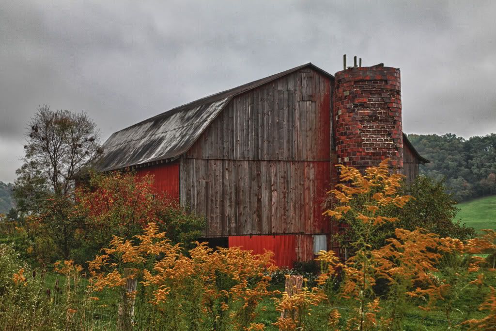 barn2.jpg