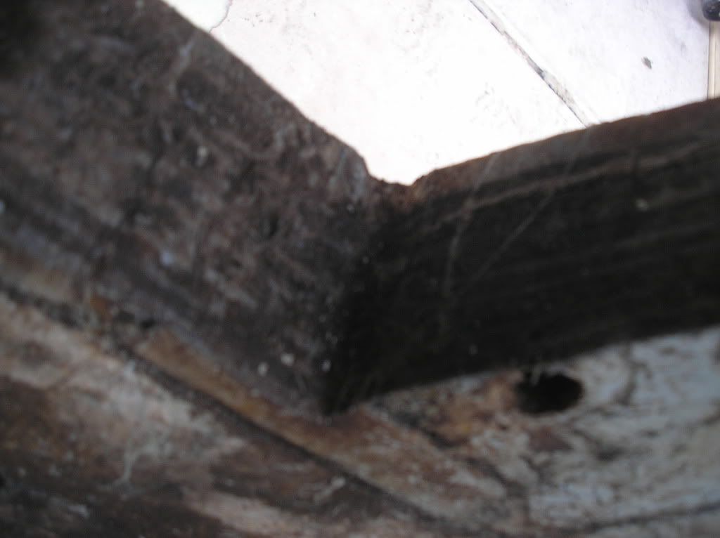 P1010448.jpg