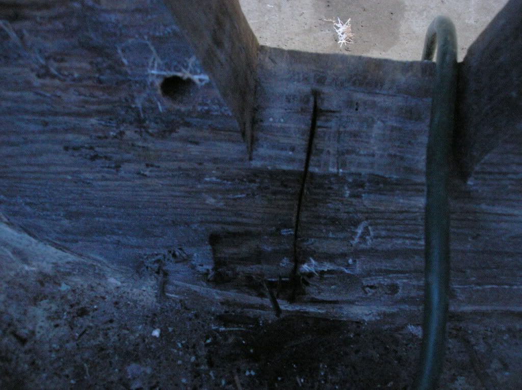 P1010465.jpg