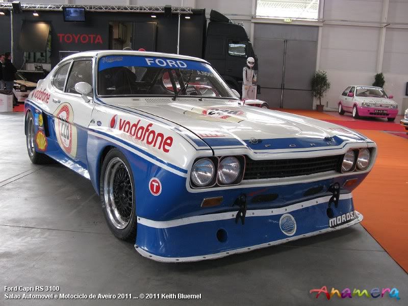 rs3100.jpg