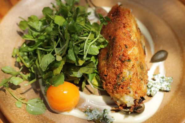 mackerel