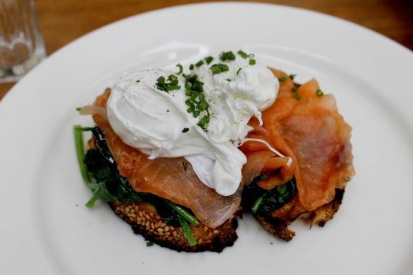 Salmon