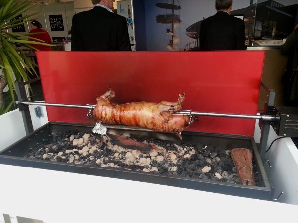 Pig