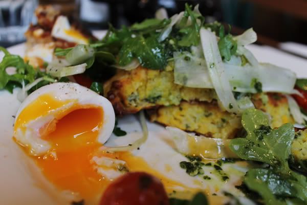 Fritters 2 Pumpkin and Sage Fritters with grilled haloumi, rocket + fennel salad, rocket pistau