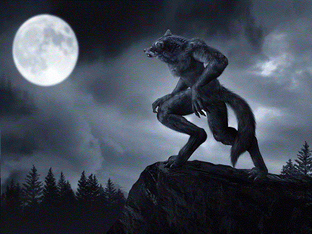 photo Werewolf-werewolves-12640996-1024-768_zpsf04ddd0f.gif