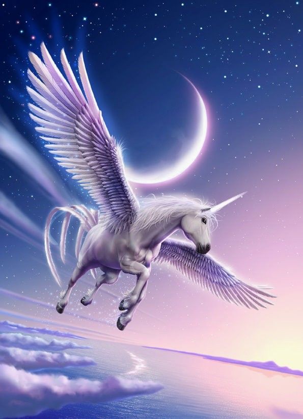  photo pegacorn sky 1_zpskyuivgaa.jpg