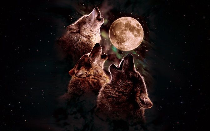  photo wolves wolf moon_zpsz0ila0tw.jpg