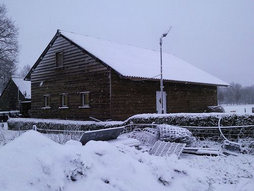 Afbeelding