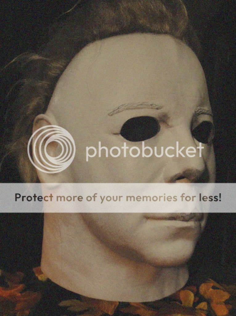 Saturday PICS OF THE DAY