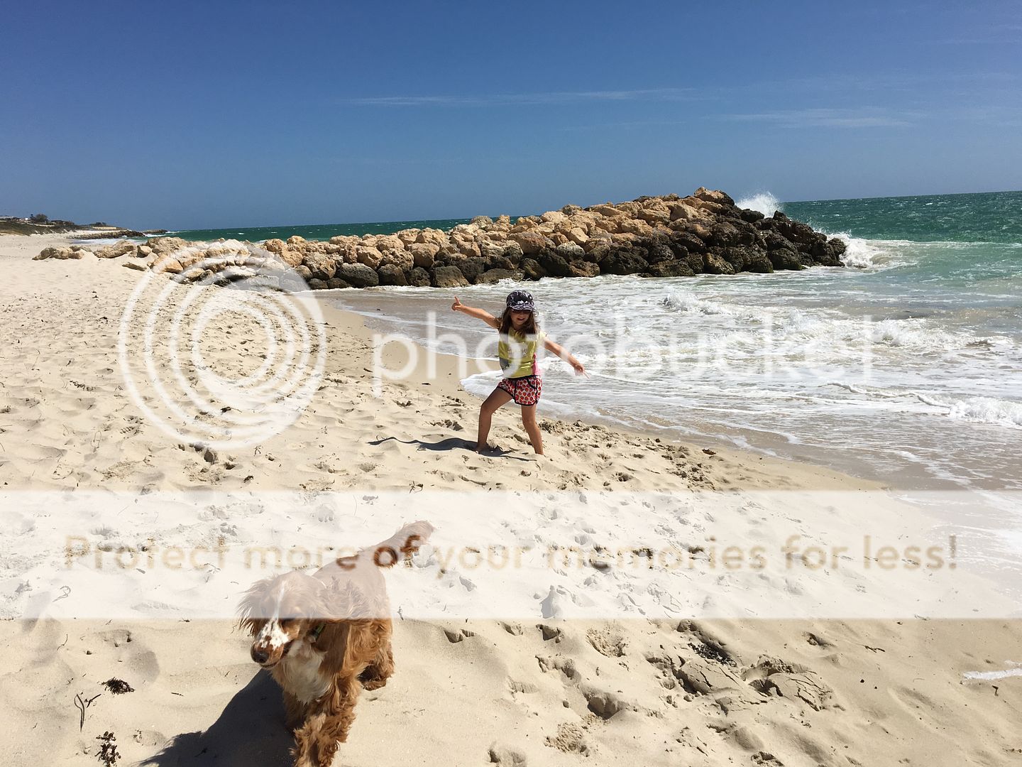 Dog Beaches in Perth - find a local dog beach near you and around Perth