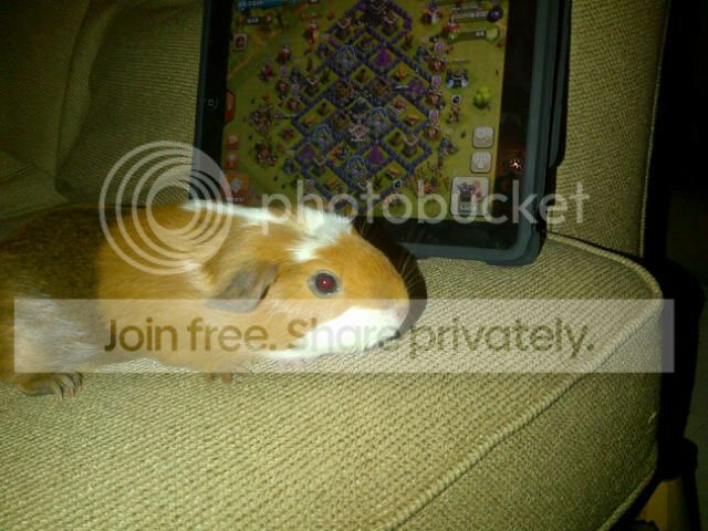 0a41a87cd2c16715ae2239bbbc2cedc5_zps39db52bd.jpg
