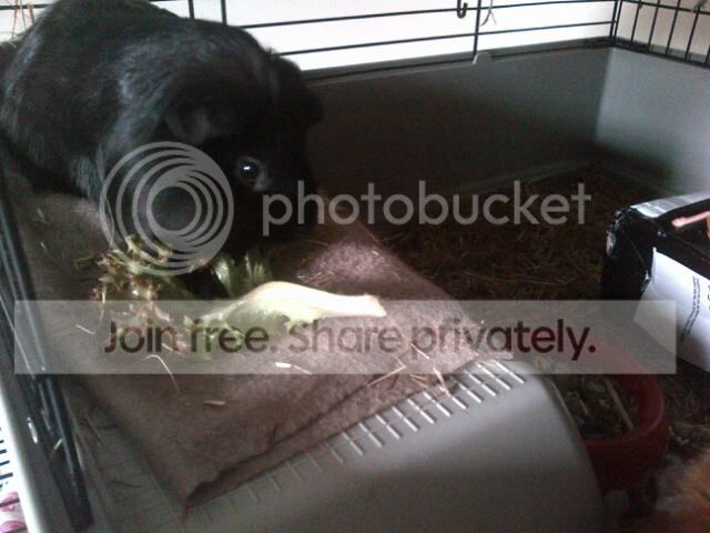 2ad3202fdf1a2f18525de34ad290bb45_zps71c1dc60.jpg