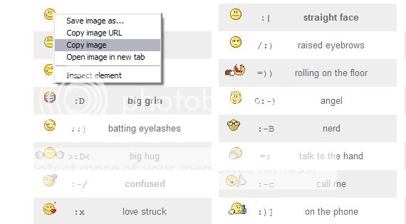 Adding Emoticons to Tumblr | Planet Botch